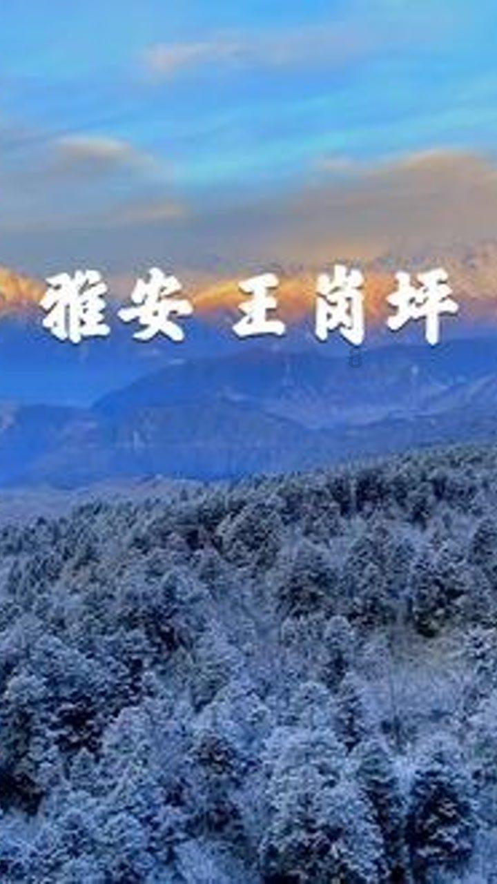 告别“炒股” 云南白药不是第一家