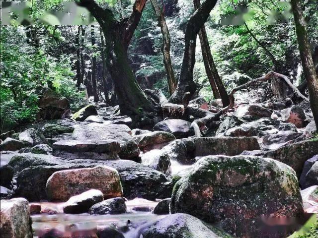 长沙湘越中学:长沙叛逆矫正学校